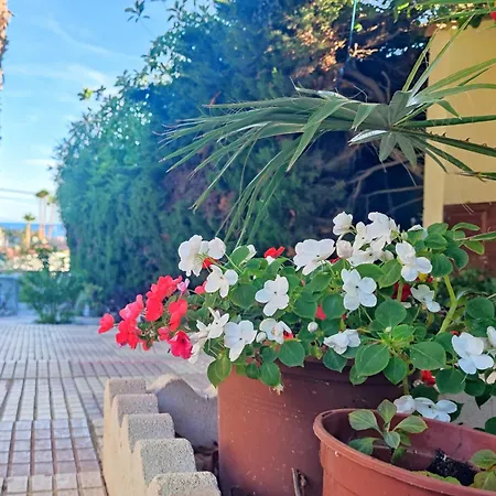 Hébergement de vacances Casona Del Mar Terraza Y Vistas Al Mediterraneo El Campello